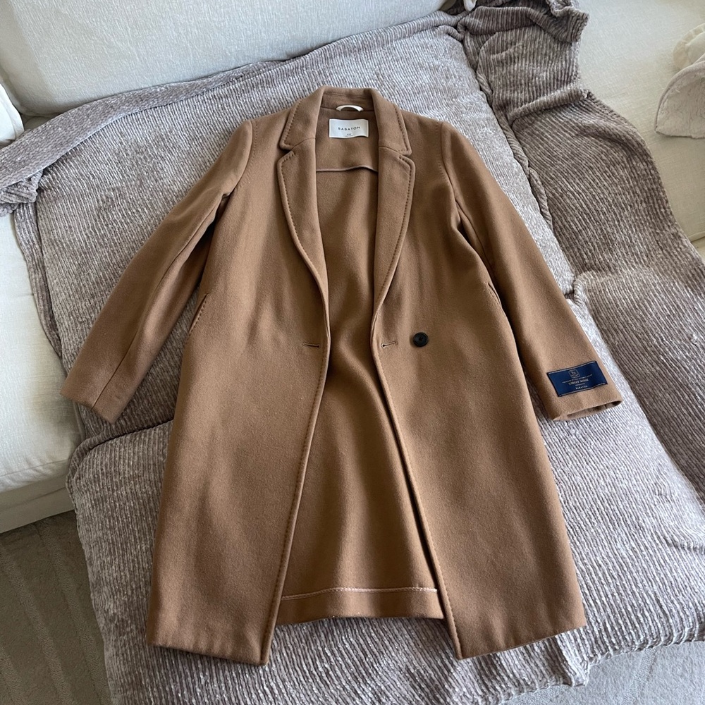 Aritzia Babaton Wool Coat